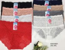 Majtki damskie (2-4XL/24szt)