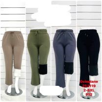 PLUS_Spodnie damskie (2-6XL/12szt)