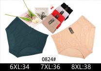 MAJTKI DAMSKIE (6-8XL/24szt)