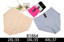 MAJTKI DAMSKIE (2-4XL/24szt)