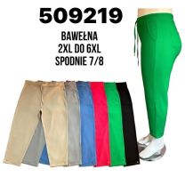 Spodnie damskie7/8 (2-6XL/12szt)