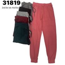 Spodnie dresowy damskie (2-5XL/12szt)