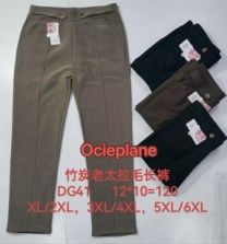 PLUS_Spodnie elastyczny (XL-6XL /12szt)