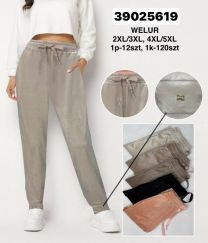 Spodnie welurowy (2-5XL/12szt)