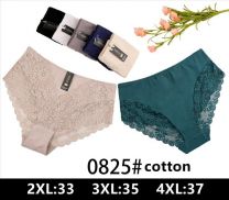 Majtki damskie (2-4XL/24szt)