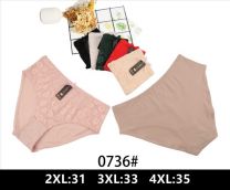 Majtki damskie (2-4XL/24szt)