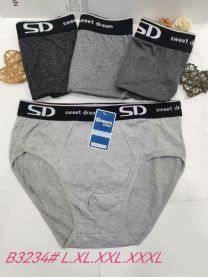 Slipy męskie (L-3XL/24szt)