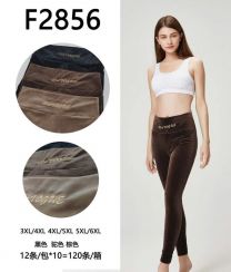 PLUS_Spodnie damskie (3-6XL/12szt)