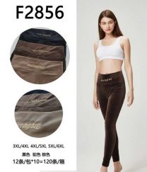 PLUS_Spodnie welurowy (3-6XL/12szt)