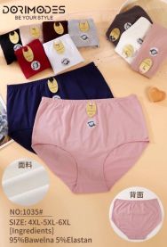 Majtki damskie (4-6XL/24szt)