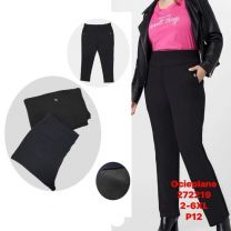 PLUS_Spodnie elastyczny (2XL-6XL/12szt)