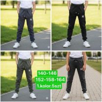 Spodnie dresowe chłopięce (140-164/5szt)