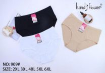 Majtki damskie (2-6XL/24szt)