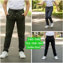 Spodnie dresowe chłopięce (140-164/5szt)