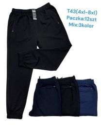 Spodnie dresowy męskie (4-8XL/12szt)
