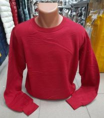 Bluzy bez kaptura męskie (M-2XL/12szt)