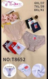 MAJTKI DAMSKIE (6-8XL /24szt)