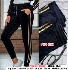 PLUS_Spodnie welurowy (2-6XL/12szt)