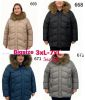 kurtka damskie (3-7XL/5szt)