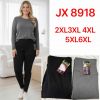 PLUS_Spodnie legginsy damskie (2-6XL/12szt)