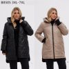 Kurtka damskie (3-7XL/5szt)