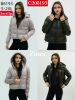 kurtka damskie (S-2XL/5szt)