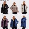 Kurtka damskie (3-7XL/5szt)