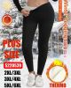 PLUS_Spodnie legginsy damskie (2-6XL /12szt)