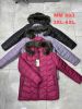 Kurtka zimowa damska (3-8XL/6szt)