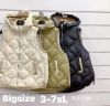kamizelka damska (3-7XL/5szt)