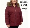 kurtka damskie (3-7XL/5szt)