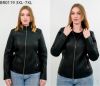 Kurtka ekoskóry damskie (3-7XL /5szt)