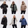 Kurtka damskie (3-7XL/5szt)