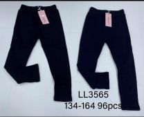 Spodnie dziewczynka (134-164/12szt)