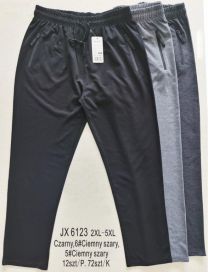 Spodnie dresowy męskie (2-5XL/12szt)